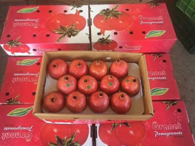 Carton Pack